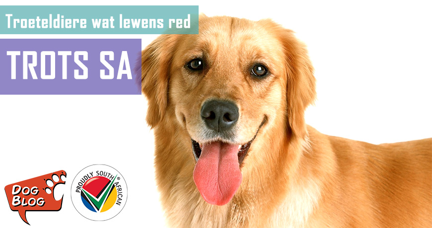 Diere wat lewens red - Trots SA