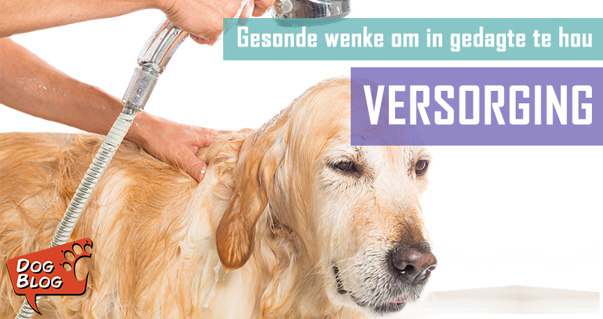 Versorging - Gesonde Wenke om in gedagte te hou