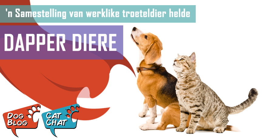 'n Samestelling van regte Troeteldierhelde