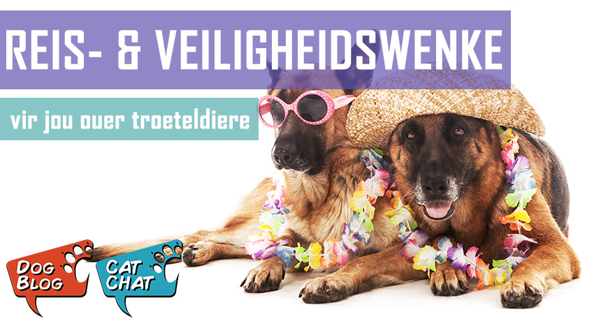 Reis- en veiligheidswenke vir jou ouer troeteldiere