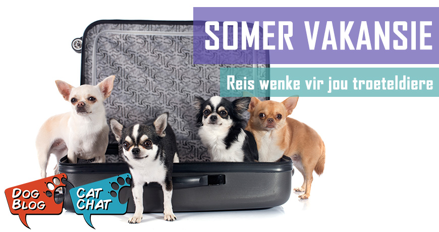 Somervakansie - reiswenke vir jou troeteldiere