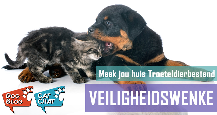Veiligheidswenke - Maak jou huis troeteldierbestand