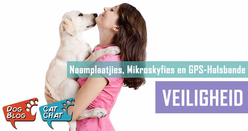 Troeteldierveiligheid - Mikroskyfies, halsbande
