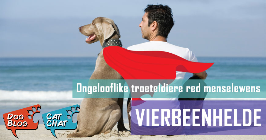 Vierbeenhelde - ongelooflike troeteldiere red lewens