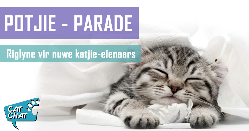 Potjie-parade - riglyne vir katjie-eienaars